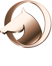 松偉SOVER